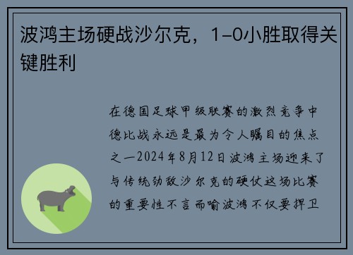 波鸿主场硬战沙尔克，1-0小胜取得关键胜利